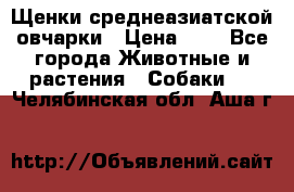 Щенки среднеазиатской овчарки › Цена ­ 1 - Все города Животные и растения » Собаки   . Челябинская обл.,Аша г.